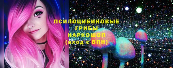 гашик Кинешма
