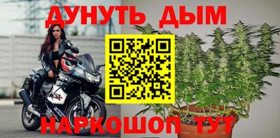 гидра Беслан