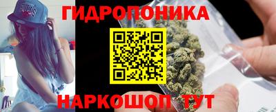 крисы Берёзовский