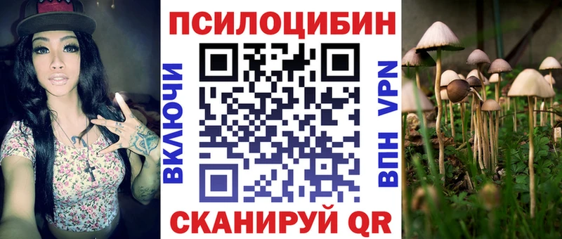 MEGA рабочий сайт  Волжский  Псилоцибиновые грибы MAGIC MUSHROOMS  продажа наркотиков 