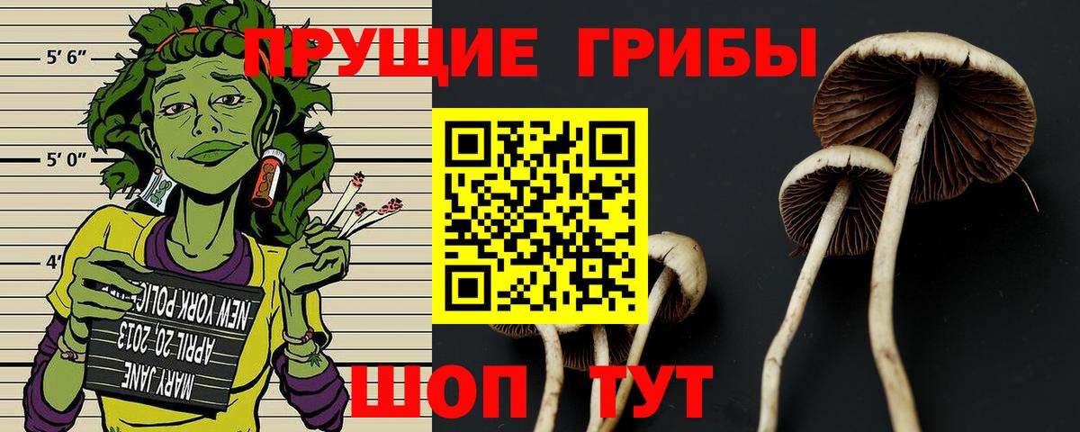 Псилоцибиновые грибы мицелий  Волжский  Галлюциногенные грибы мицелий 