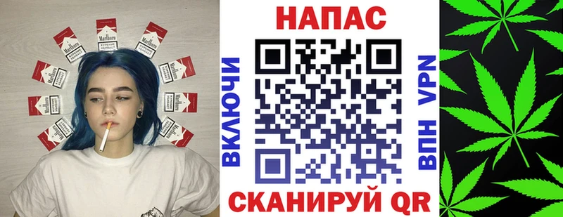Бошки Шишки план Волжский